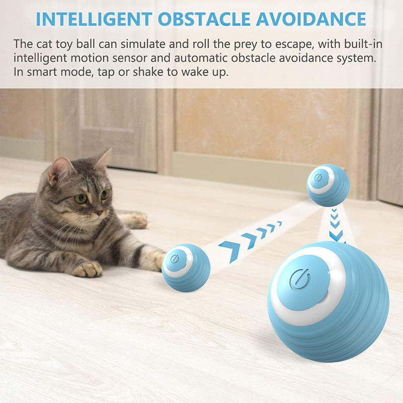 ✅Bola Interactiva SmartCat