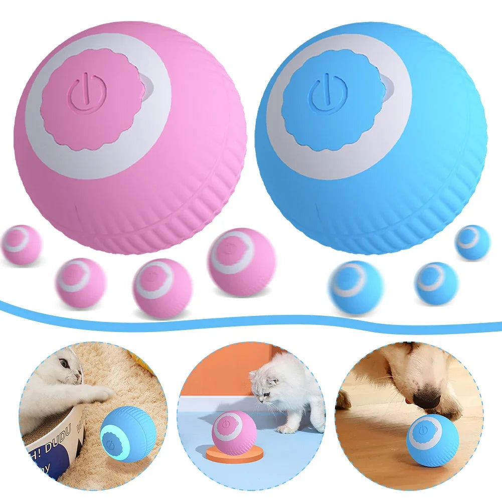 ✅Bola Interactiva SmartCat