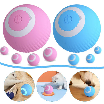 ✅Bola Interactiva SmartCat