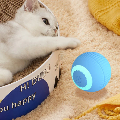 ✅Bola Interactiva SmartCat