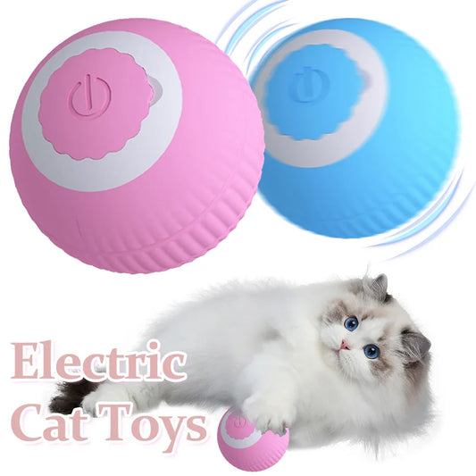 ✅Bola Interactiva SmartCat