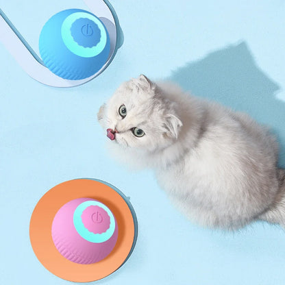 ✅Bola Interactiva SmartCat