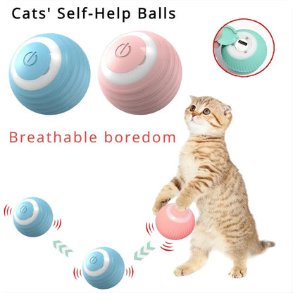 ✅Bola Interactiva SmartCat