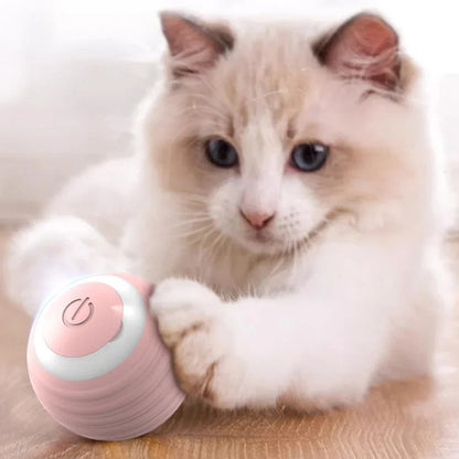 ✅Bola Interactiva SmartCat