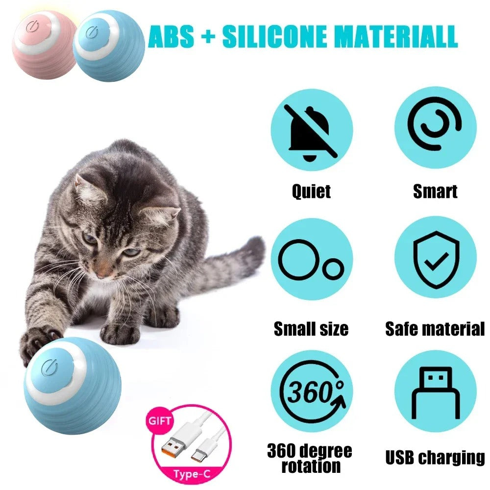 ✅Bola Interactiva SmartCat