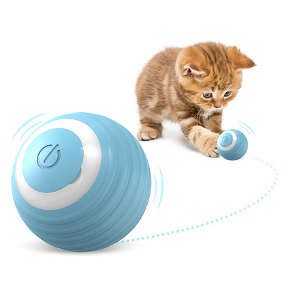 ✅Bola Interactiva SmartCat